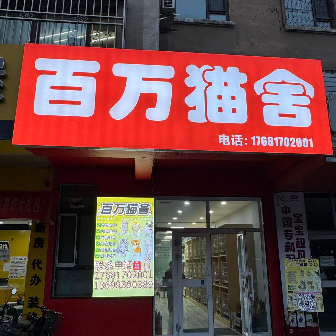 乌市百万猫舍（精品猫）