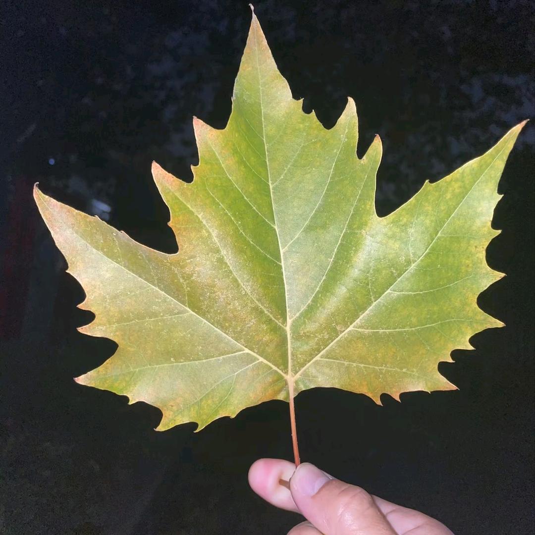 懂得珍惜