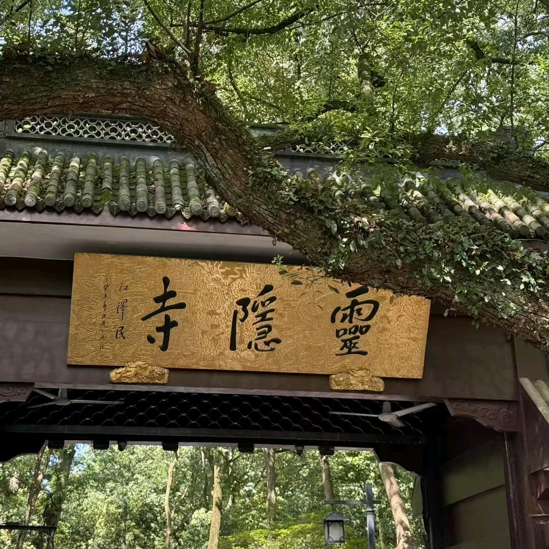 昆虫白也