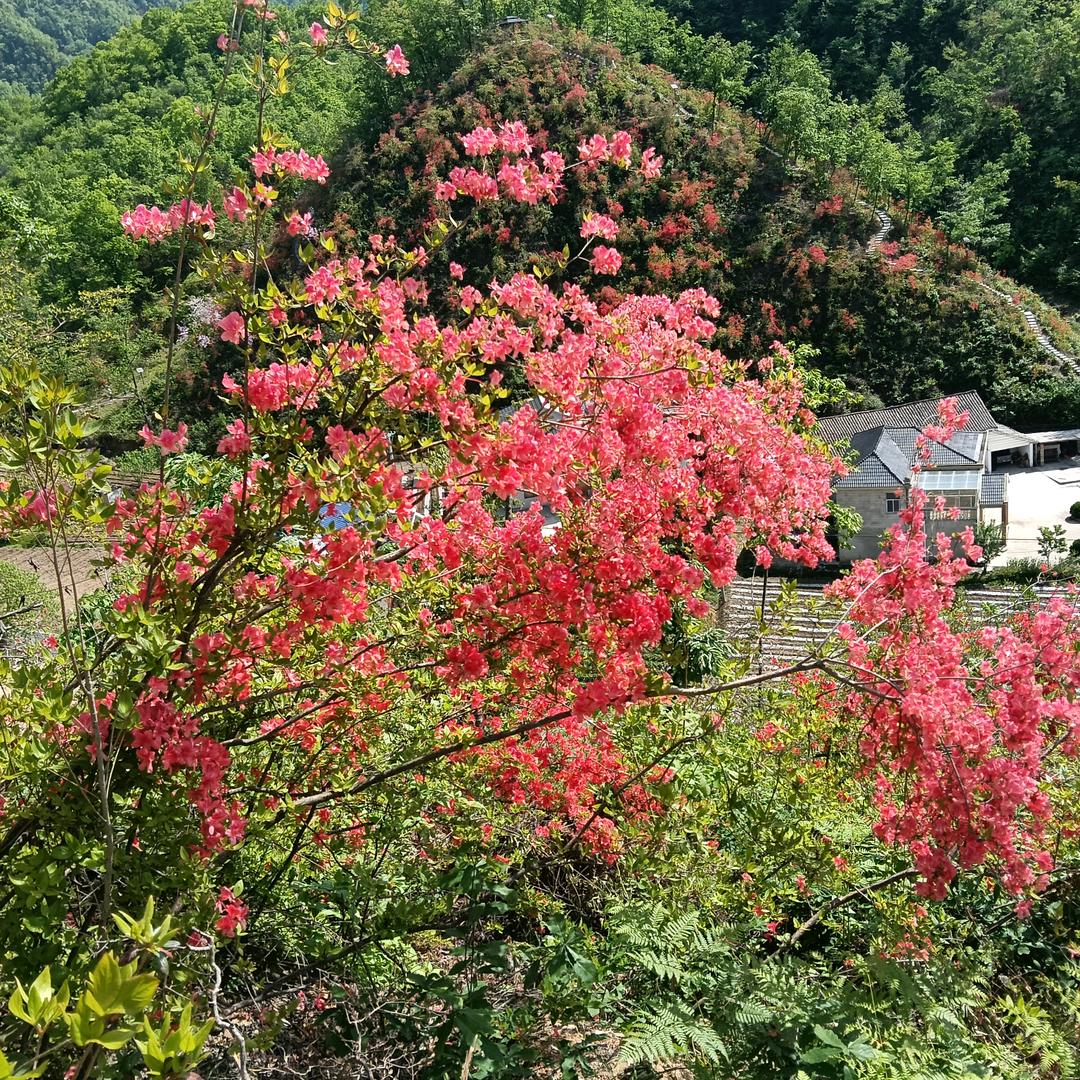 @猜不透