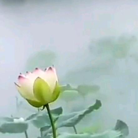 迎