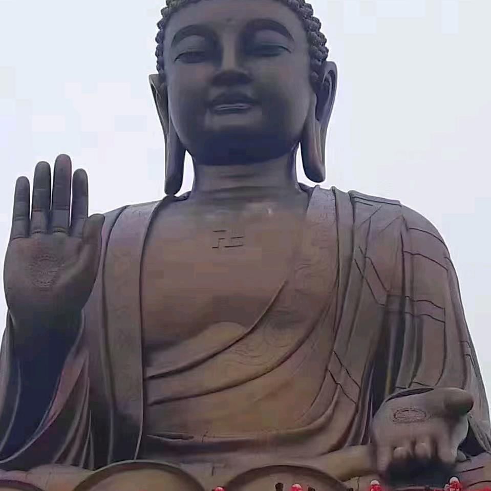 喜力啤酒  华丹啤酒 代理