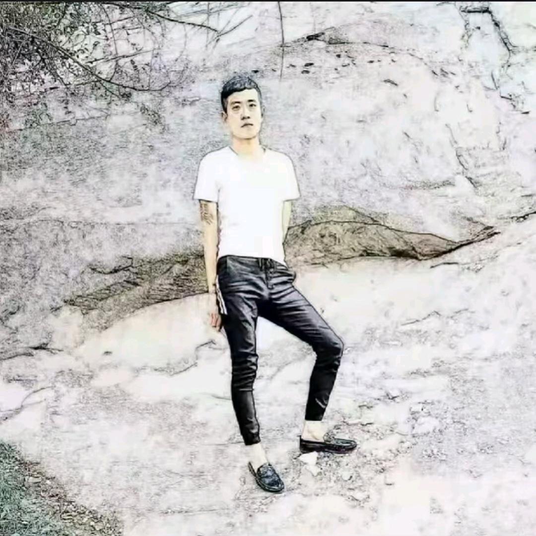 龙