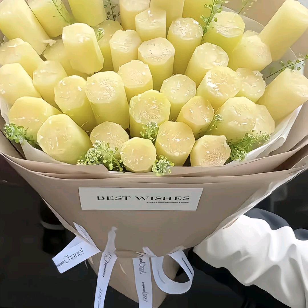 有形的翅羽⁺¹⁰⁰࿐