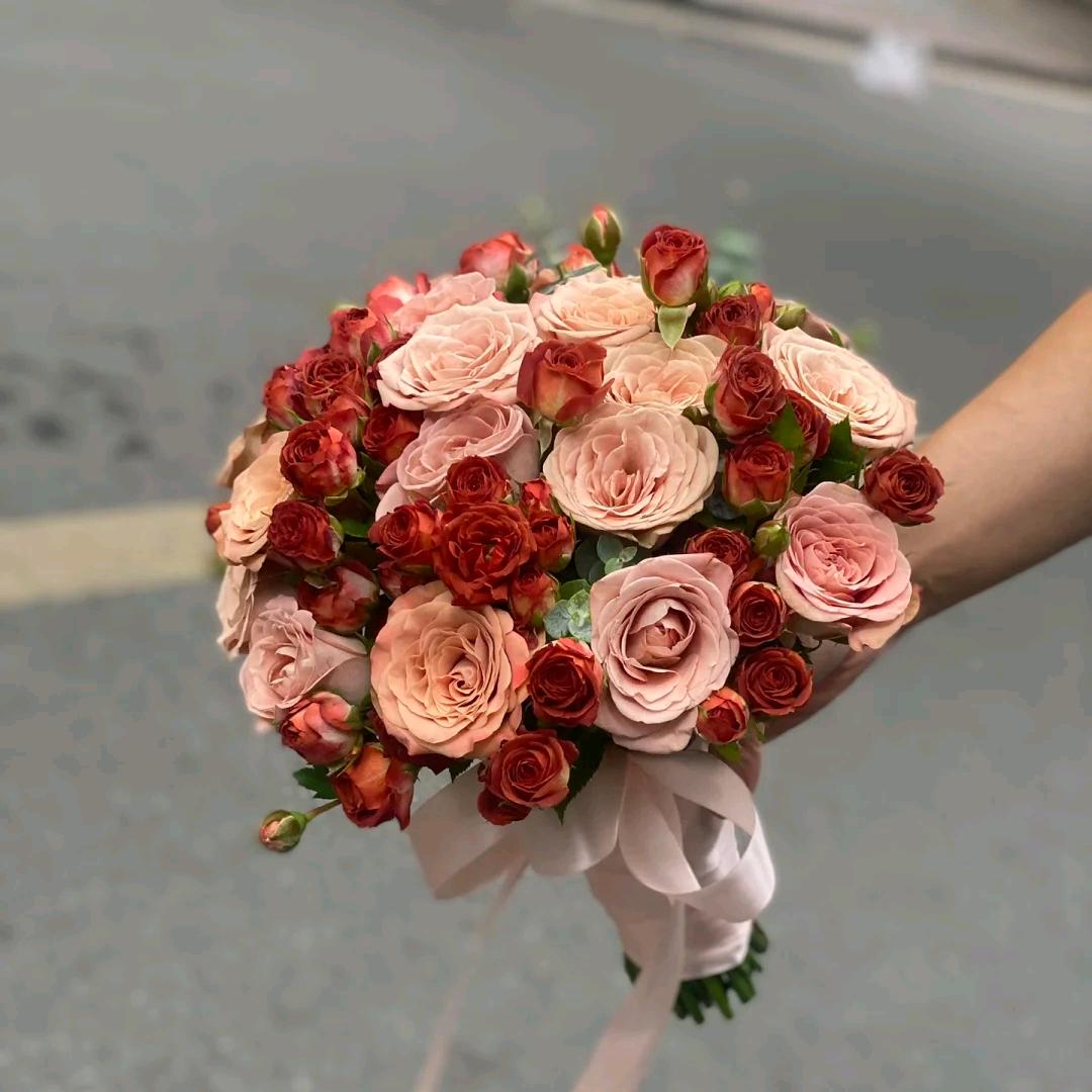 飞儿