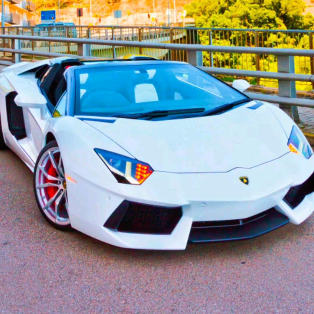 嘻嘻$《》你爱我坏《》