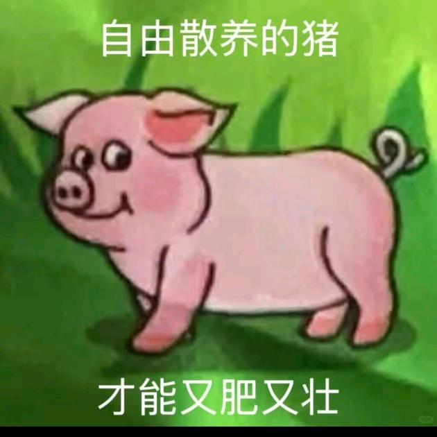 大妮