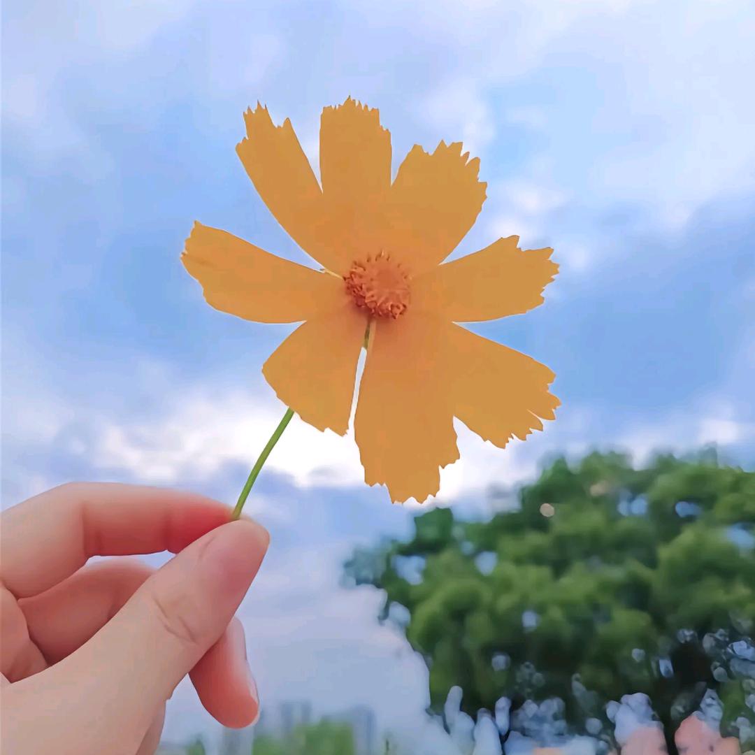 紫气東来