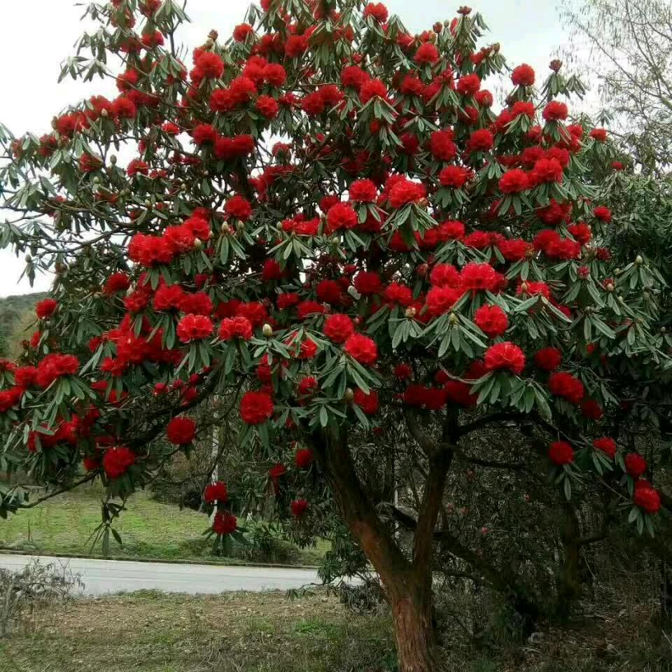 ໑ຼₒ₂ᮨ5⸙👣后悔࿐