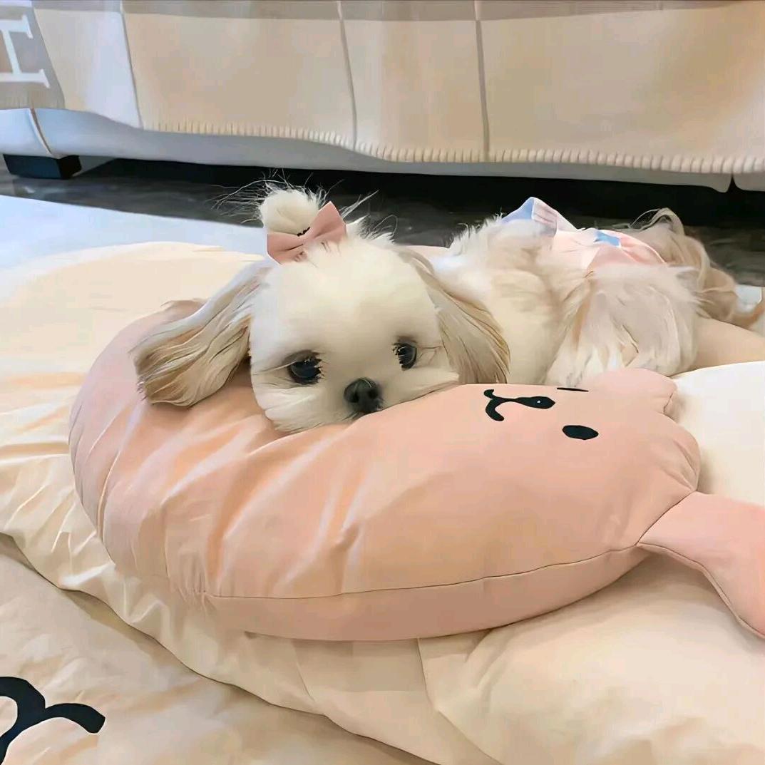 不高兴🍒