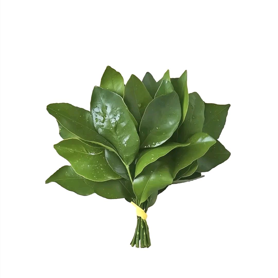 接好运