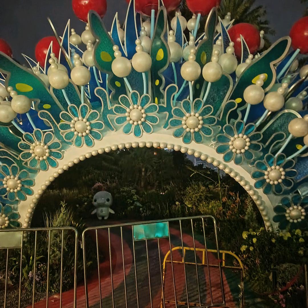 只看不刷