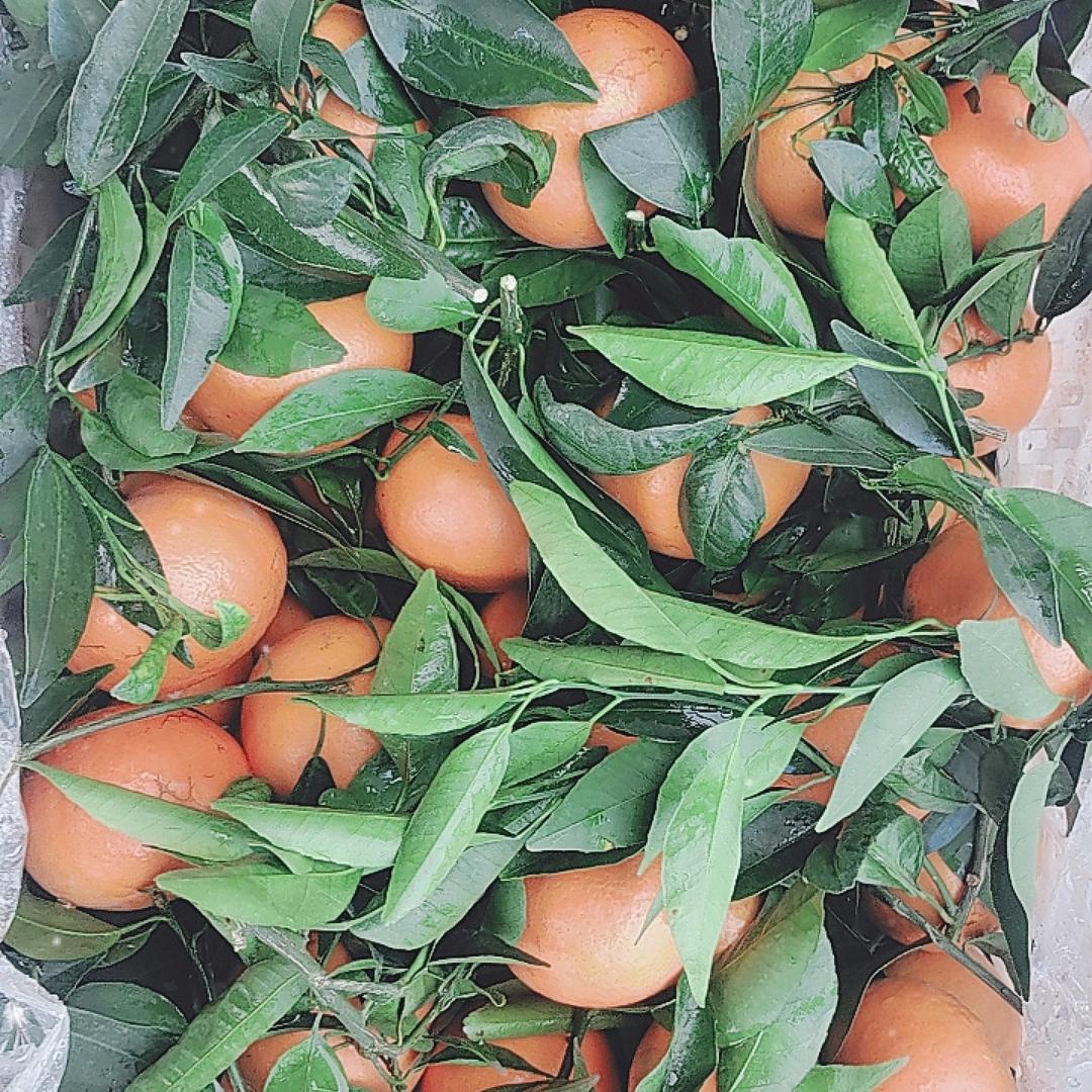 得意洋洋