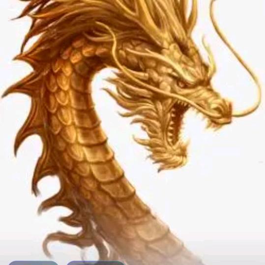 龙游四海