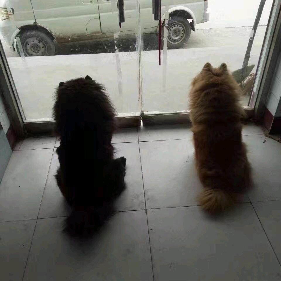 立江手机电脑宽带