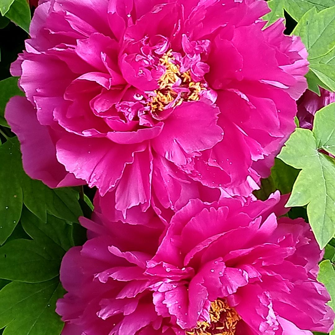 一生平安