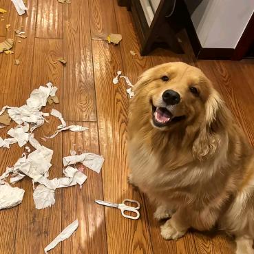 想要快乐永驻一生