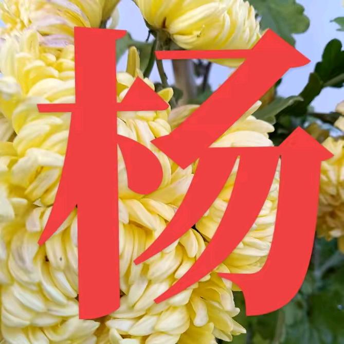 幸福暖杨