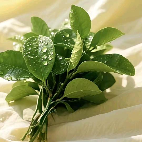 ღ吴比幸福ꦼ