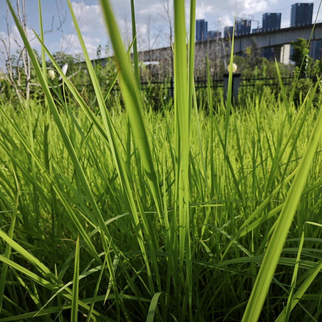 放弃幻想 开始斗争🌈
