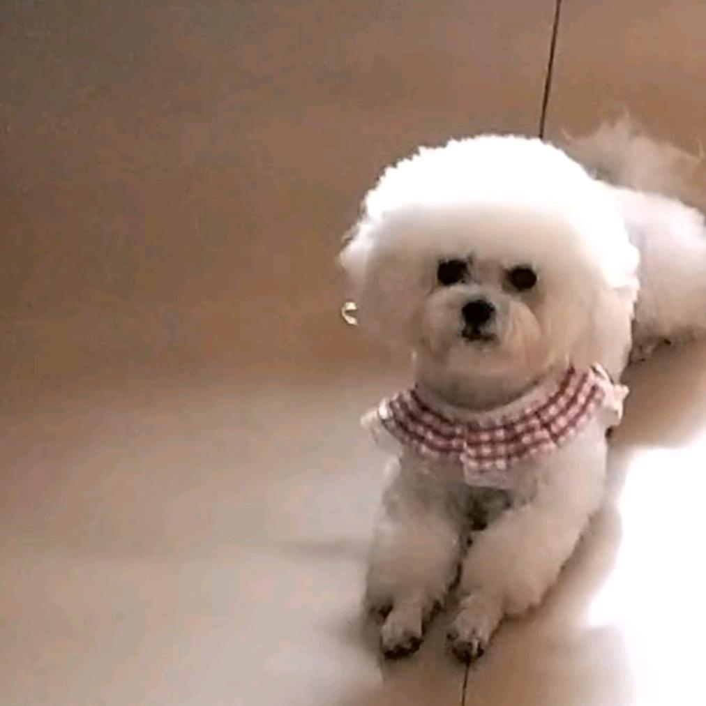 乐（拒绝私聊）