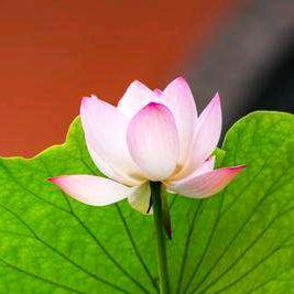 通辽旧衣回收365（收徒）