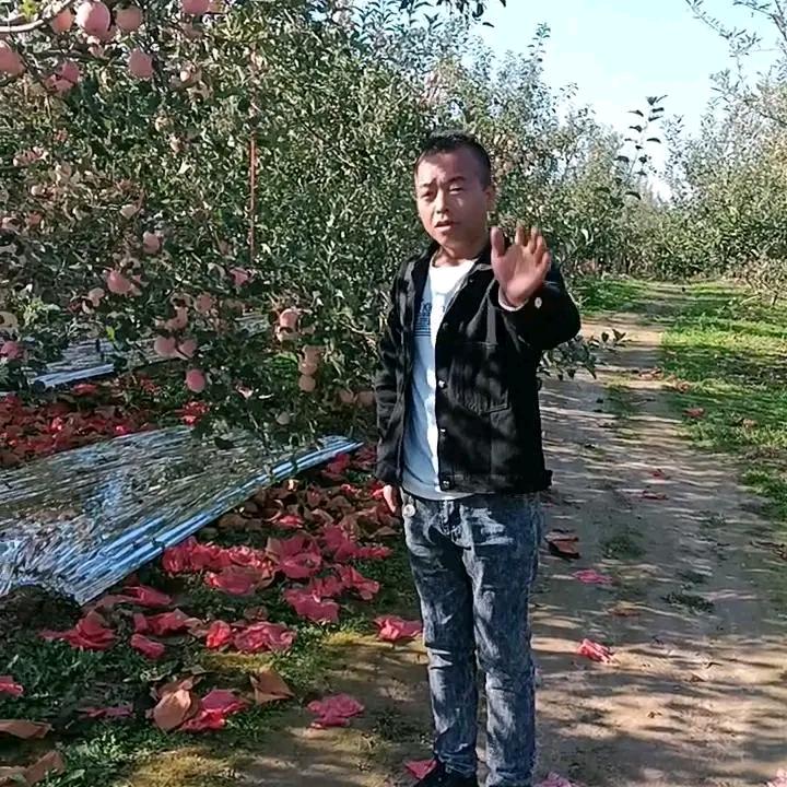 洛川啊龙🐉苹果收购《三农服务》小号