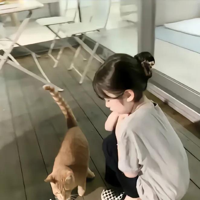 困哭鱼