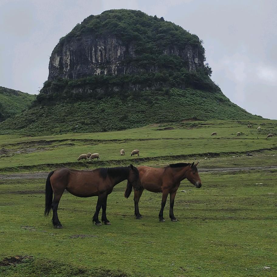 六盘水包车黔行