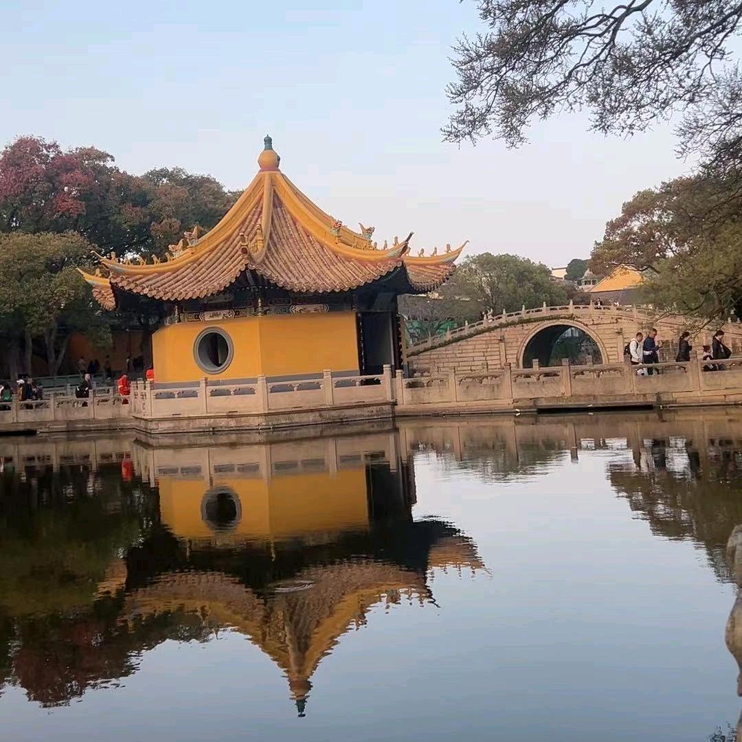 等风也等你