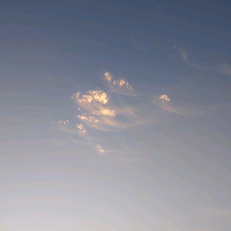 🙏正心正念🙏