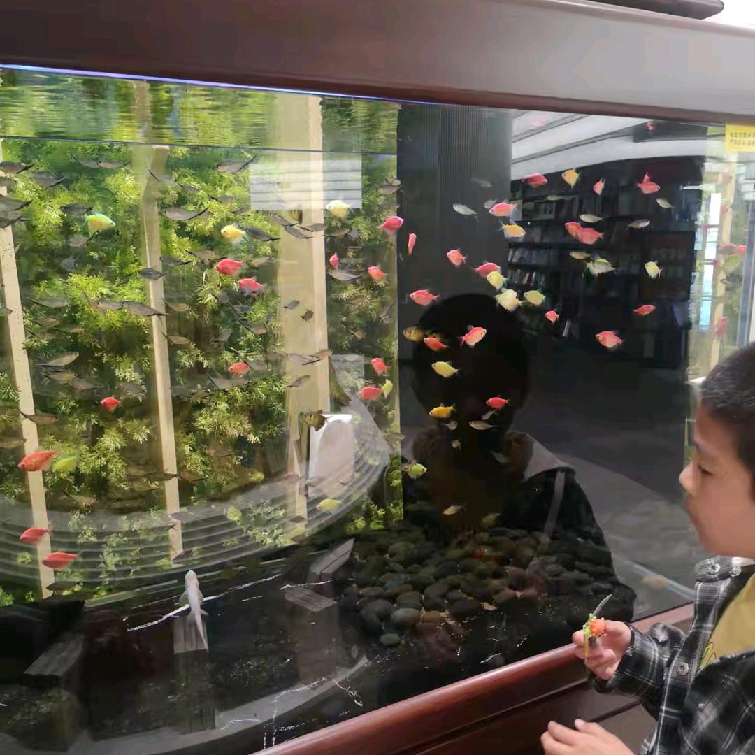 🌸花了个🌸