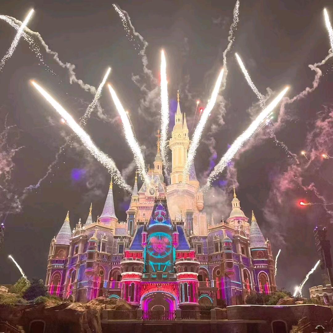 迪士尼小管家导游服务