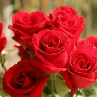 王丽，平安快乐💝💝💝💘💘💘