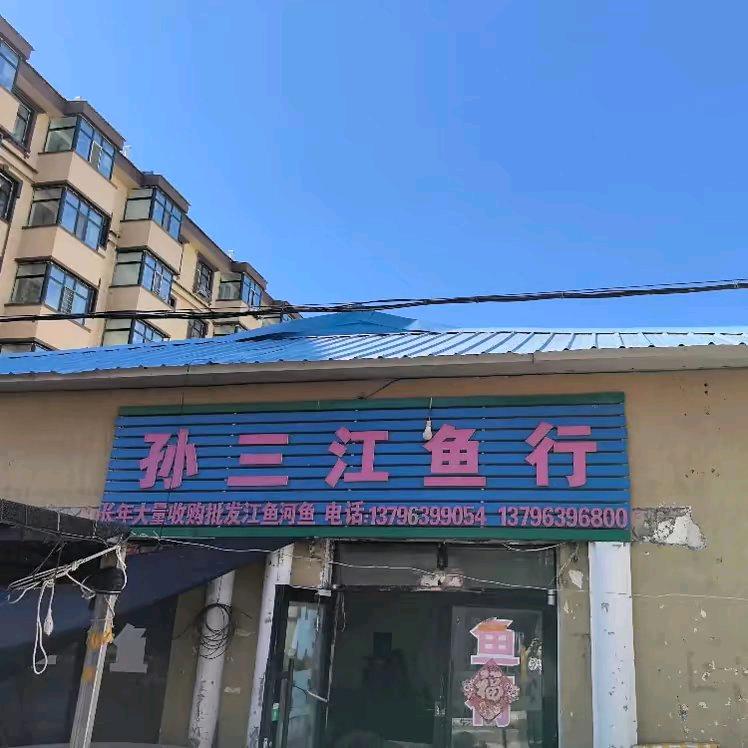 饶河孙三鱼行