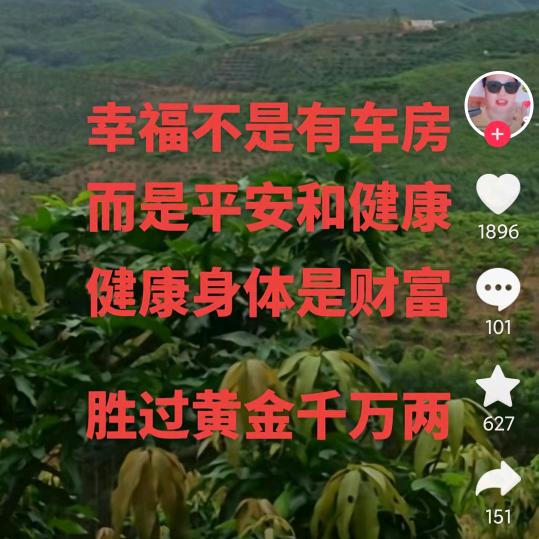 梦想成真