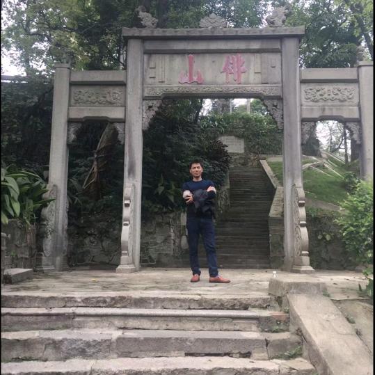 黑松树