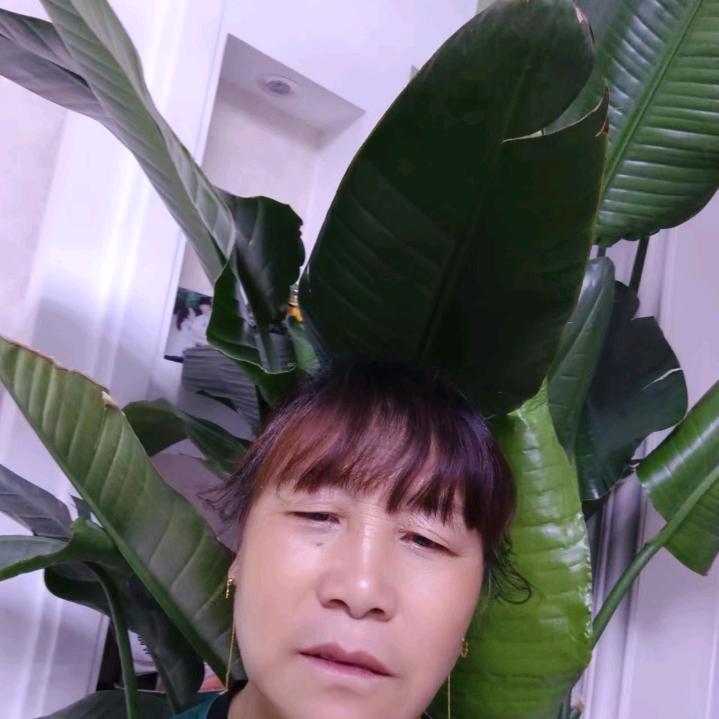 山青水秀王