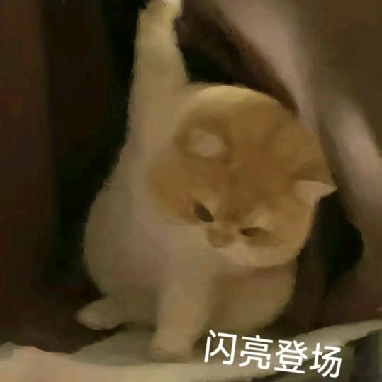 明媚的开心