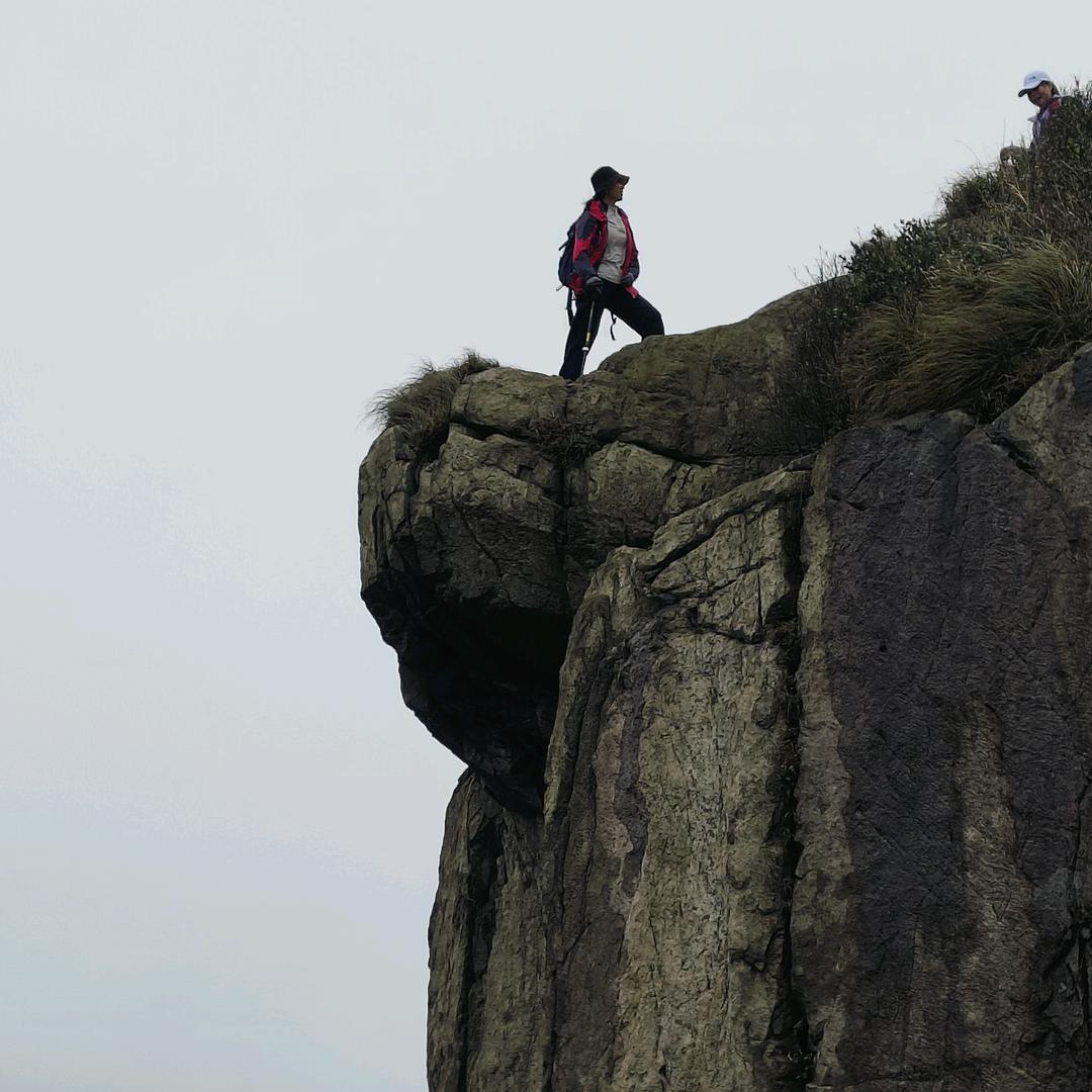 丽姐的主妇生活