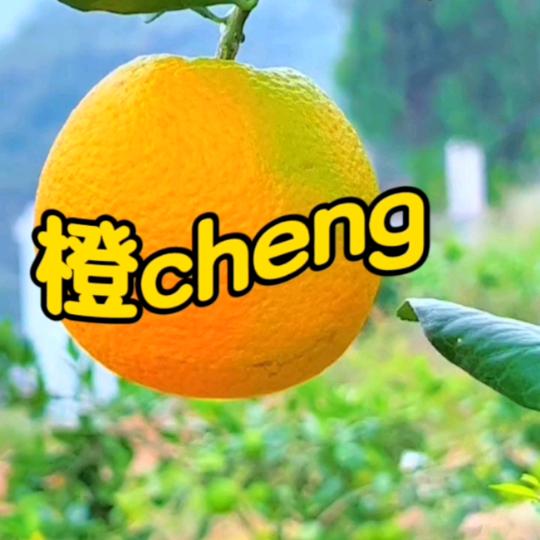 橙cheng