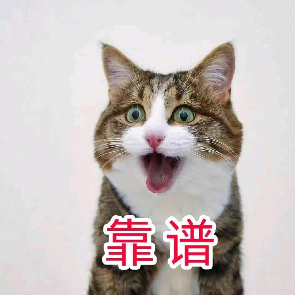 饰上珠宝饰上珠宝老余镶嵌了镯子