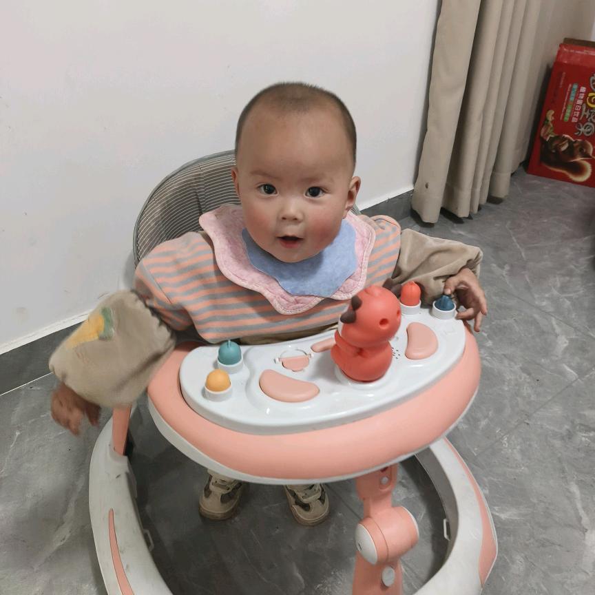 香菜不香