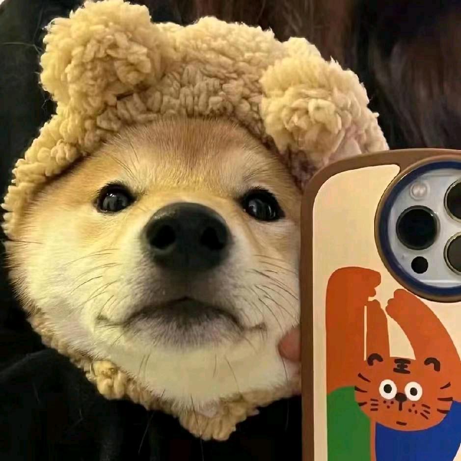 iCiyuan头像