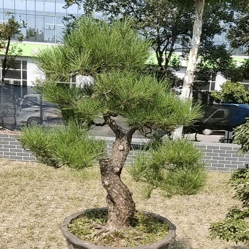 @王三