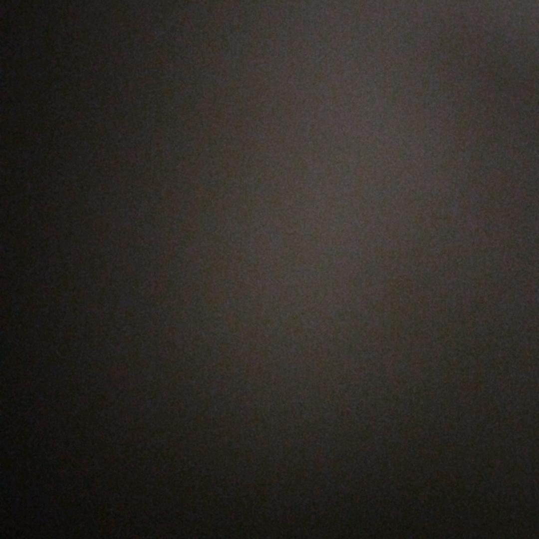 明年