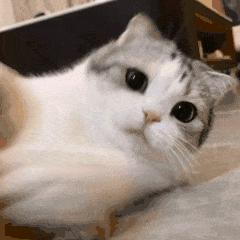 诡渊蓝