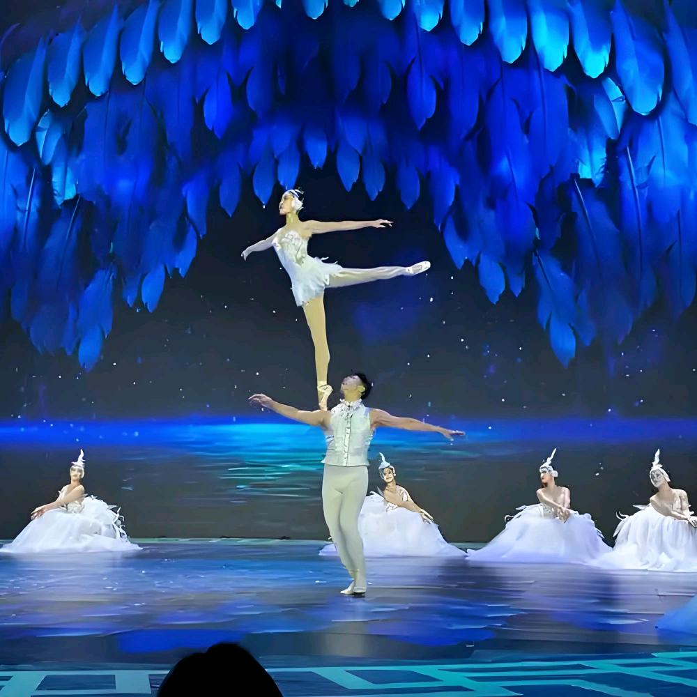 （一技之长闯世界）