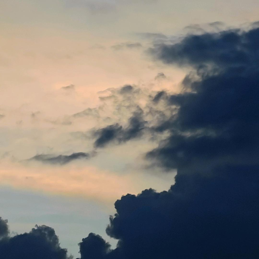 爱意随风起　　　  　　　　　　 　🪳