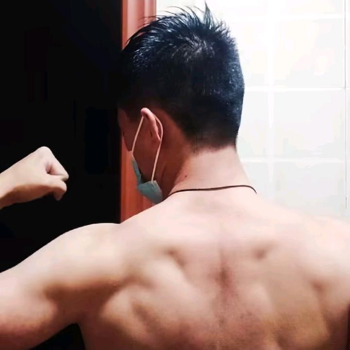 自由之翼